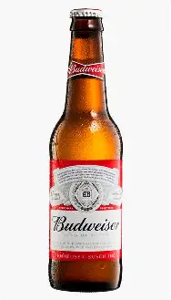 Cerveja Budweiser 600ml